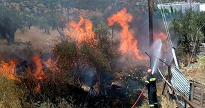 Φωτιά κατέστρεψε βιοτεχνία με παλέτες στην Αμυγδαλέα Λάρισας 