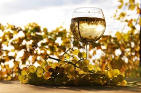 Ξεκινά η διήμερη γιορτή κρασιού στη Ραψάνη