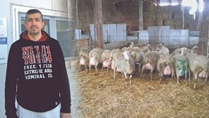 H πορεία ενός 40χρονου Λαρισαίου στον κτηνοτροφικό τομέα 