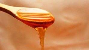 Mελισσοκόμοι Λάρισας: «Υπόθεση όλων η πάταξη της νοθείας στο μέλι»