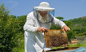 Σεμινάριο μελισσοκομίας στη Λάρισα
