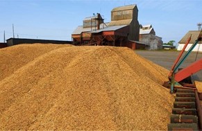 Αγροτικός Συνεταιρισμός Χάλκης: Πράξεις με 43 λεπτά στο σκληρό σιτάρι