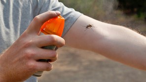 Δ.Τεμπών - Ιός Δυτικού Νείλου: Ατομικά μέτρα προστασίας από τα κουνούπια
