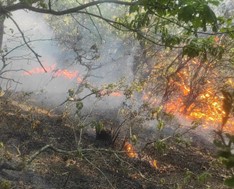 Πολιτική Προστασία Δ. Αγιάς για την πυρκαγιά στην Έλαφο: “Οριοθετήθηκε και δεν υπάρχει ενεργό μέτωπο αυτήν τη στιγμή”