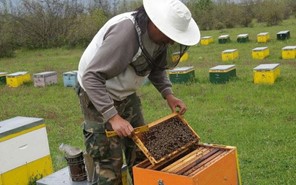 Χρηματοδοτική στήριξη στους μελισσοκόμους της Θεσσαλίας