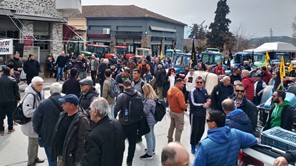 Διαμαρτυρία στον ΕΛΓΑ τη Δευτέρα από τους δενδροκαλλιεργητές της Ελασσόνας