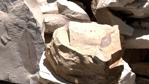 Λυκούδι Ελασσόνας: Ο "παράδεισος" για τους ερευνητές απολιθωμάτων (βίντεο)