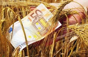 Στα ΑΤΜ οι αγρότες - Πληρωμές ύψους 451 εκατ. ευρώ