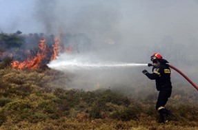 Yπό μερικό έλεγχο η φωτιά σε δασική έκταση στο Λιβάδι Ελασσόνας 