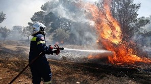 H Πυροσβεστική Διοίκηση Θεσσαλίας για την αντιπυρική περίοδο 