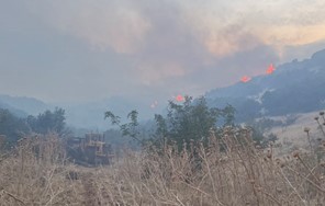 Χωρίς ενεργό μέτωπο η φωτιά στο Δαμάσι