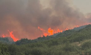 Σε διάσπαρτες εστίες καίει η φωτιά στο Αμύγδαλο Τυρνάβου - Eπιχειρούν εναέρια μέσα 