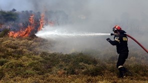 Πυρκαγιά σε δασική περιοχή του Δήμου Τυρνάβου - Συνδρομή και από αέρος 