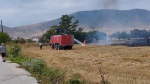 Φωτιά κοντά σε σπίτια και επιχειρήσεις στον Τύρναβο - Τέθηκε υπό έλεγχο