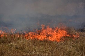 Yπό μερικό έλεγχο η φωτιά στο δρόμο Γιάννουλης - Αμπελώνα