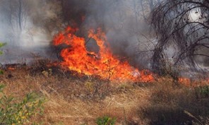 Kιλελέρ: Τσουχτερά πρόστιμα σε δύο άτομα για καύση υπολειμμάτων καλλιεργειών 