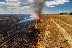 Πρόστιμα σε δύο Λαρισαίους για φωτιές σε υπολείμματα καλλιεργειών 