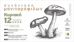 Γιορτή Μανιταριού στην Ανατολή Αγιάς