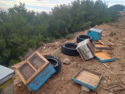 Νέες καταστροφές από αρκούδα σε κυψέλες στον Κίσσαβο