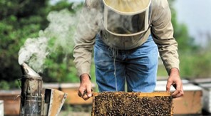 Οδηγίες σε μελισσοκόμους για το κάπνισμα μελισσών