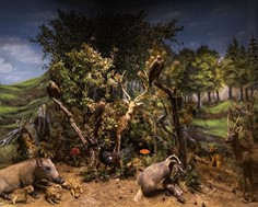 101 βραβεία σε 10 χρόνια λειτουργίας για το Μουσείο Μετεώρων