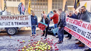 Σκόρπισαν μήλα και κάστανα μπροστά στον ΕΛΓΑ Λάρισας - Διαμαρτυρία παραγωγών