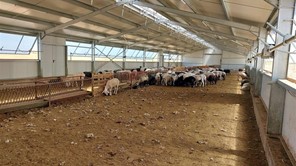 Η Διεύθυνση Κτηνιατρικής για την πυροπροστασία στις κτηνοτροφικές εκμεταλλεύσεις