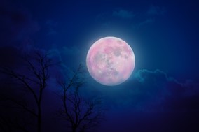 Απόψε το βράδυ στον ουρανό η πανσέληνος Απριλίου 2024 - Πώς θα φωτογραφίσετε το «Ροζ Φεγγάρι»