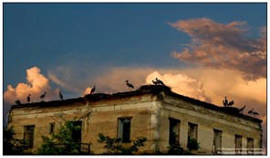 Στην “πρωτεύουσα” των πελαργών η Κίνηση Πολιτών “Λάρισα η πόλη μου”