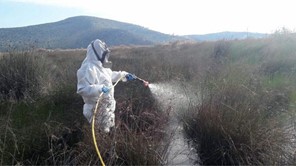 Σε εξέλιξη το πρόγραμμα καταπολέμησης κουνουπιών στον Δήμο Λαρισαίων