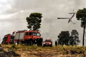 Φωτιά σε χορτολιβαδική έκταση δίπλα στην ΠΑΘΕ