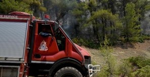 Μεγάλη κινητοποίηση της Πυροσβεστικής για πυρκαγιά στον Πλατανιά Πηλίου