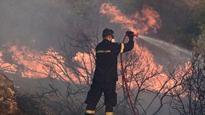 Yπό έλεγχο φωτιές σε Όσσα και Ελασσόνα 