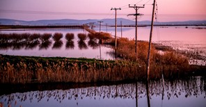 Θεσσαλία: Πώς ο μηχανισμός της κλιματικής κρίσης "σκοτώνει" τις φετινές καλλιέργειες