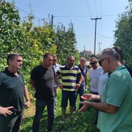 Στα χαλαζόπληκτα της Αγιάς κλιμάκιο της Περιφέρειας και του ΕΛΓΑ