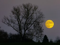 Πανσέληνος Νοεμβρίου 2023: Από απόψε το βράδυ στον ουρανό το Φεγγάρι του Κάστορα