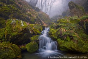 Συμβουλές από τον Ιατρικό Σύλλογο Λάρισας για πρόληψη παιδικών ατυχημάτων στο βουνό