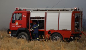 Φωτιά σε έκταση στον δρόμο Τυρνάβου-Αμπελώνα