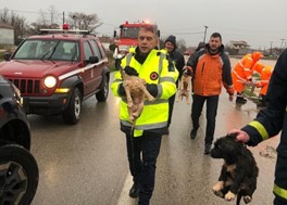Κατωχώρι Φαρσάλων: Διάσωση 4 σκυλιών από την Πυροσβεστική και τον Κ.Αγοραστό (video)