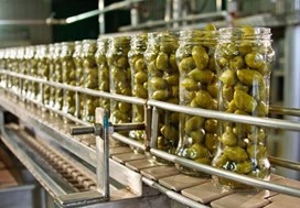 Ελληνοϊταλική επένδυση στην τυποποίηση ελιάς στη Λάρισα