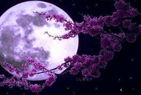 Πανσέληνος Μαΐου 2023: Πότε έρχεται το «Φεγγάρι των Λουλουδιών»