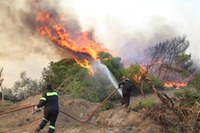 Πυρκαγιά έκαψε μεγάλη έκταση στην Τερψιθέα Λάρισας