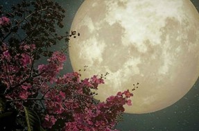 Το βράδυ της Παρασκευής στον ουρανό η πανσέληνος του Μαρτίου - Το «Φεγγάρι του Σκουληκιού»