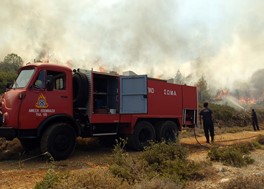 Κάηκαν 50 στρέμματα στο Δαμάσι