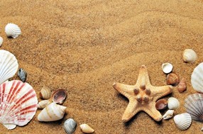 Τα Ζώδια της Κυριακής 01.08.2021  