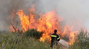 Συκούριο: Πυρκαγιά στον λόφο Γεντίκι