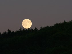 Πανσέληνος Νοεμβρίου: Από απόψε το βράδυ στον ουρανό το "Φεγγάρι του Κάστορα" 