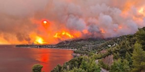 Πύρινος εφιάλτης στην Εύβοια: Στις φλόγες παραδόθηκαν σπίτια στο Πευκί