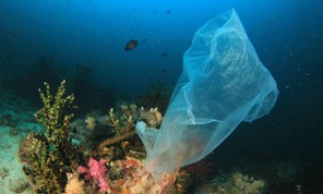 Παγκόσμια Ημέρα κατά της Πλαστικής Σακούλας