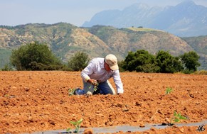 Σύσκεψη αγροτών στην Αγιά